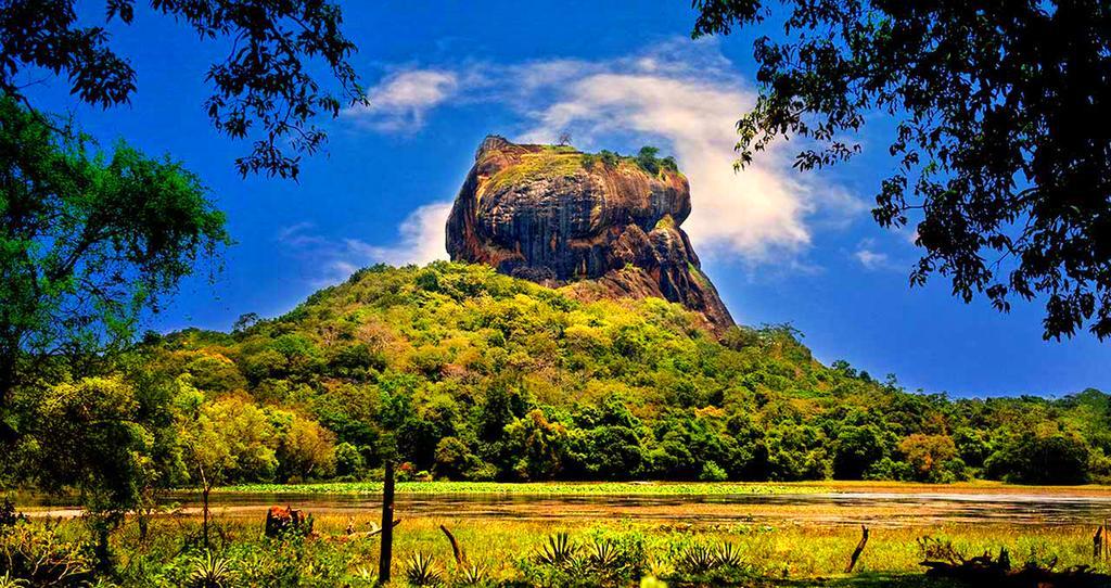 Fresco Water Villa Sigiriya Ngoại thất bức ảnh
